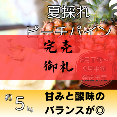 夏採れピーチパイン約5kg（7～10個入り）