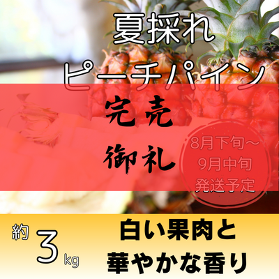 夏採れピーチパイン約3kg（4～7個入り）