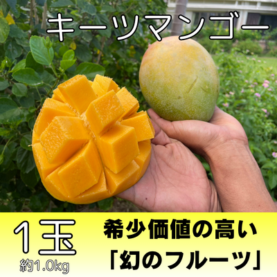 キーツマンゴー1個（1kg）