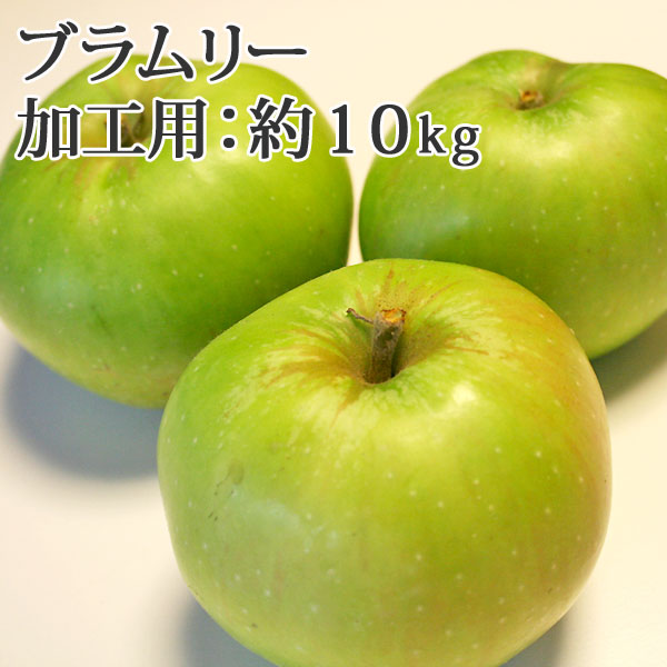 りんご ブラムリー10Kg箱 発送開始！【送料無料】青森県産りんご ブラムリー 加工用（訳あり