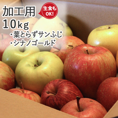 さらにお買得！売り尽くし大感謝際セール【送料無料】青森県産りんご　葉とらずサンふじ／シナノゴールド　加工用（訳あり・バラ詰め）  約10ｋｇ
