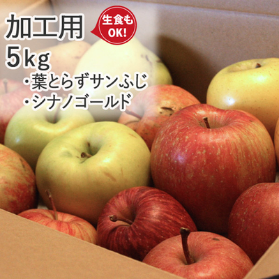 さらにお買得！売り尽くし大感謝際セール【送料無料】青森県産りんご　葉とらずサンふじ／シナノゴールド　加工用（訳あり・バラ詰め）  約5ｋｇ