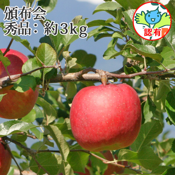 りんごページ 8月・1回目発送！【送料無料】青森県産りんごの頒布会（8月～1月