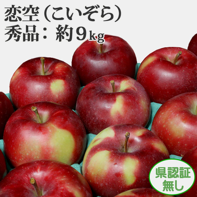 8/5までポイント３倍！【送料無料】青森県産りんご　恋空　秀品（小玉サイズ含む）  約9ｋｇ（28-46個入） 認証無し