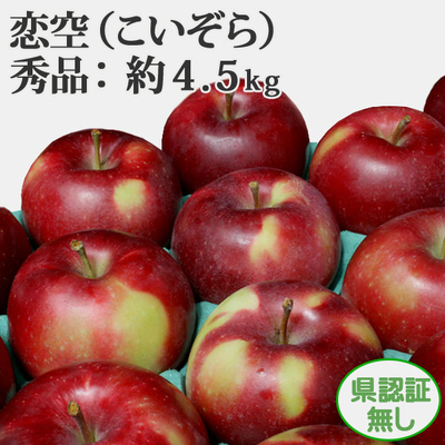 8/5までポイント３倍！【送料無料・冷蔵便】青森県産りんご　恋空　秀品  約4.5ｋｇ（14-23個入） 認証無し