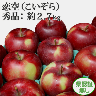 8/5までポイント３倍！【送料無料・冷蔵便】青森県産りんご　恋空　秀品  約2.7ｋｇ（8-14個入） 認証無し