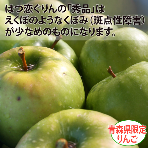 送料無料】生産者限定の超希少品種！青森県産りんご はつ恋ぐりん 秀品
