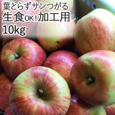 【送料無料】青森県産りんご　葉とらずサンつがる　加工用（訳あり・バラ詰め）  約10ｋｇ