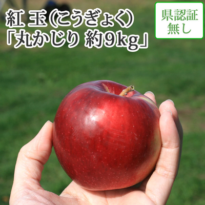 【送料無料】青森県産りんご　紅玉（こうぎょく）丸かじり（小さめサイズ）  約9ｋｇ（50-56個入） 認証なし
