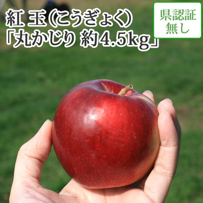 【送料無料】青森県産りんご　紅玉（こうぎょく）丸かじり（小さめサイズ）  約4.5ｋｇ（25-28個入） 認証なし