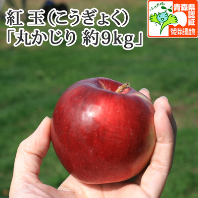 【送料無料】青森県産りんご　紅玉（こうぎょく）丸かじり（小さめサイズ）  約9ｋｇ（50-56個入） 青森県特別栽培農産物認証あり