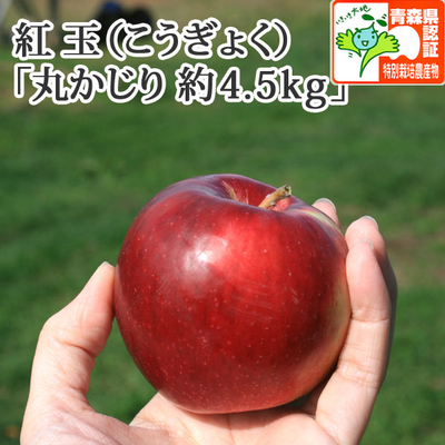 【送料無料】青森県産りんご　紅玉（こうぎょく）丸かじり（小さめサイズ）  約4.5ｋｇ（25-28個入） 青森県特別栽培農産物認証あり