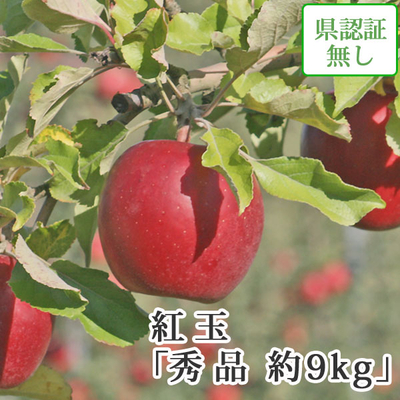 会員様限定セール特価！【送料無料】青森県産りんご　紅玉（こうぎょく）秀品  約9ｋｇ（36-46個入）認証無し