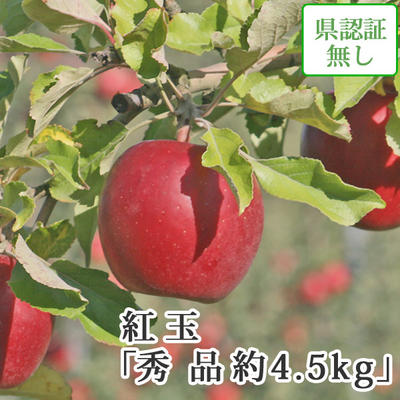 会員様限定セール特価！【送料無料】青森県産りんご　紅玉（こうぎょく）秀品  約4.5ｋｇ（18-23個入）認証無し