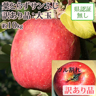 12月中旬以降の発送【送料無料】青森県産りんご　葉とらずサンふじ　ほほえみ（訳あり）・大玉　 約10ｋｇ（20-26個入） 認証なし