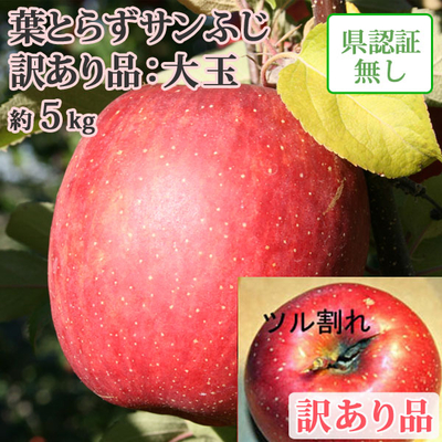 12月中旬以降の発送【送料無料】青森県産りんご　葉とらずサンふじ　ほほえみ（訳あり）・大玉　 約5ｋｇ（10-13個入） 認証なし