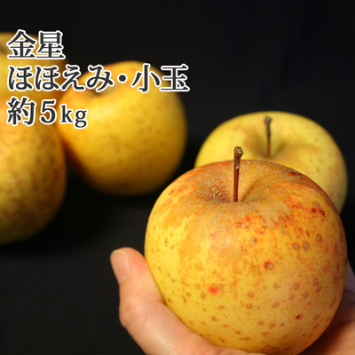 数量限定・お買得セール※1/7～順次発送予定【送料無料】青森県産りんご　金星　ほほえみ・小玉サイズ（訳あり・小玉）  約5ｋｇ（20-23個入） 認証なし