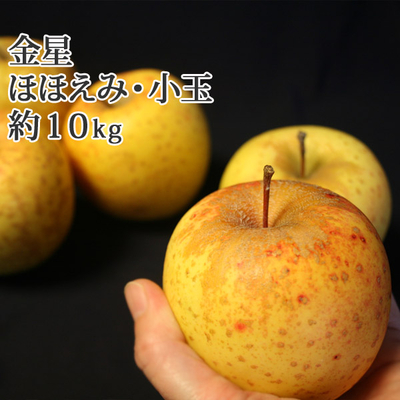 数量限定・お買得セール※1/7～順次発送予定【送料無料】青森県産りんご　金星　ほほえみ・小玉サイズ（訳あり・小玉）  約10ｋｇ（40-56個入） 認証なし