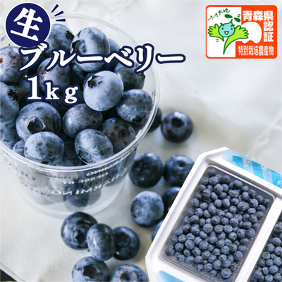 冷蔵便発送【送料無料・青森県産】ブルーベリー　Sサイズ以上混在　1kg 認証あり