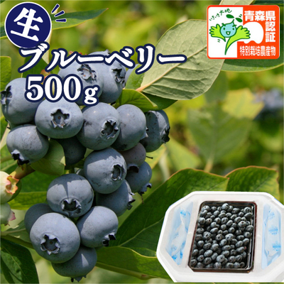 冷蔵便発送【送料無料・青森県産】ブルーベリー　Sサイズ以上混在　500ｇ 認証あり