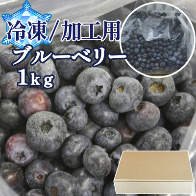 順次発送中！【送料無料・青森県産】加工用・冷凍ブルーベリー（2026年度産）　1ｋｇ サイズ混在