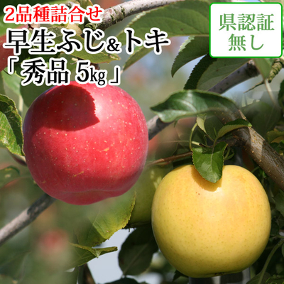早期ご予約9/27までポイント3倍！【送料無料】青森県産りんご　早生ふじ&トキ　詰合せ　秀品  約5ｋｇ（14-20個入） 認証無し