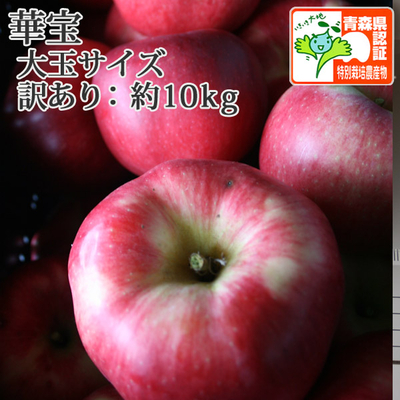 順次発送中！【送料無料】青森県産りんご　華宝（大玉・訳あり品）ほほえみ  約10ｋｇ（16-28個前後） 青森県特別栽培農産物認証あり