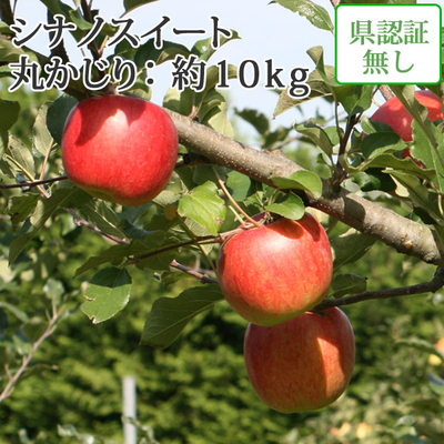 10/10までポイント３倍【送料無料】青森県産りんご　シナノスイート　丸かじり（小さめサイズ）  約10ｋｇ（40-56個入）認証なし