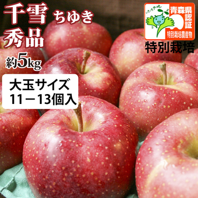 【送料無料】青森県産りんご　千雪　大玉サイズ　秀品  約5ｋｇ（11-13個入）認証あり