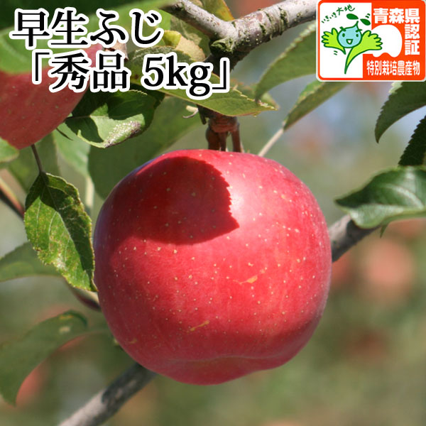 りんご@返信早めページ JA相馬村】早生ふじりんご | 青森県弘前市の『飛馬りんご』の産直通販