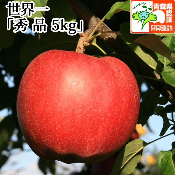 送料無料 青森県産りんご 世界一 秀品 約5ｋｇ 8 11個入 青森県特別栽培農産物認証あり 津軽ゆめりんごファーム