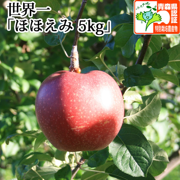 送料無料】青森県産りんご 世界一 ほほえみ（訳あり） 約5kg（8-14個