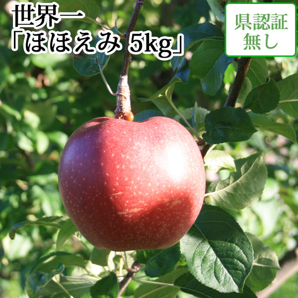 送料無料】青森県産りんご 世界一 ほほえみ（訳あり） 約5kg（8-14個