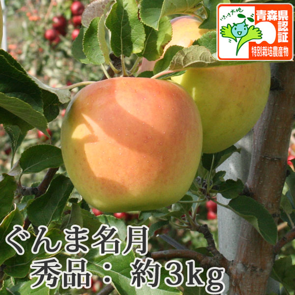 送料無料】青森県産りんご 名月（ぐんま名月） 秀品 約3kg（8-12個入
