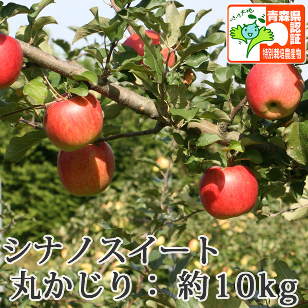 送料無料】青森県産りんご シナノスイート 丸かじり（小さめサイズ