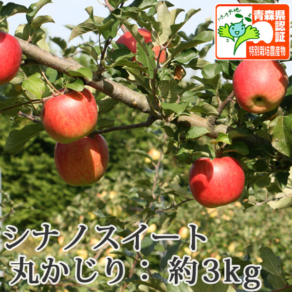 10/10までポイント3倍！【送料無料】青森県産りんご シナノスイート