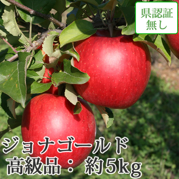 送料無料】青森県産りんご ジョナゴールド 高級品 約5kg（14-20個入