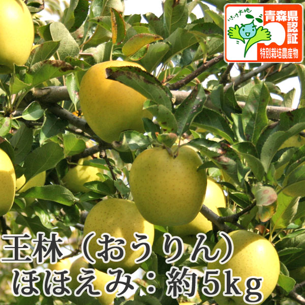 送料無料】青森県産りんご 王林 ほほえみ（訳あり） 約5kg（14-20個