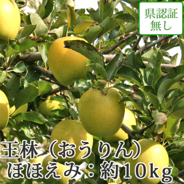 送料無料】青森県産りんご 王林 ほほえみ（訳あり） 約10kg（28-40個