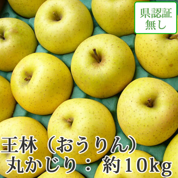 送料無料】青森県産りんご 王林 丸かじり（小さめサイズ） 約10kg