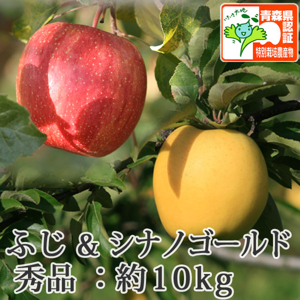 送料無料】青森県産りんご シナノゴールド＆葉とらずサンふじ 詰合せ