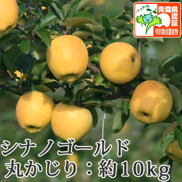 大感謝SALE(会員様限定)!最終特価☆【送料無料】青森県産 大感謝SALE(会員様限定)!最終特価☆【送料無料】青森県産
