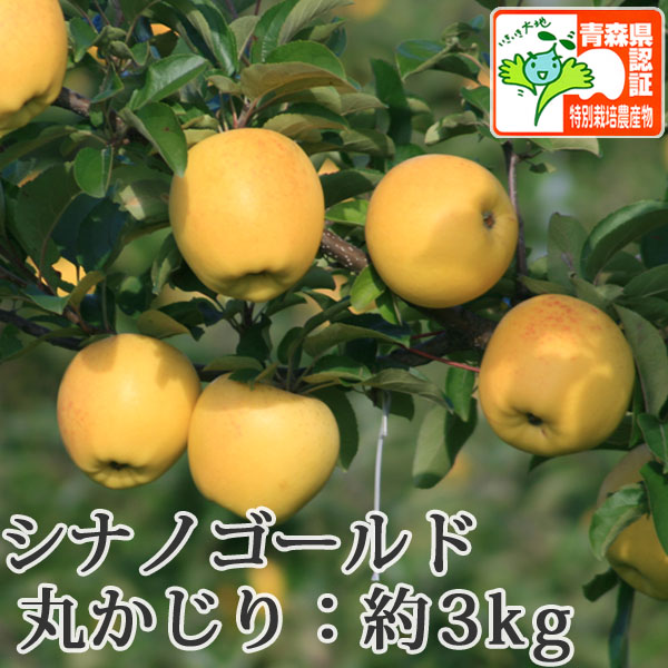 送料無料】青森県産りんご シナノゴールド 丸かじり（小さめサイズ