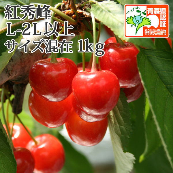 送料無料・7月上旬発送開始予定】さくらんぼ（紅秀峰） L-2Lサイズ以上