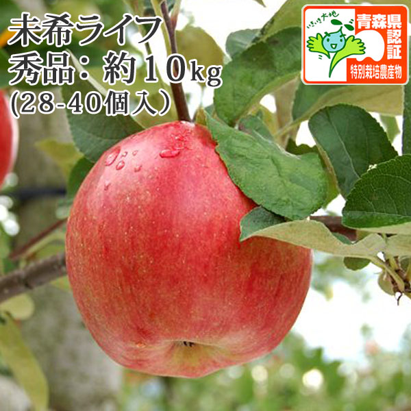 会員様限定特価！【クール便・送料無料】青森県産りんご 未希ライフ 秀