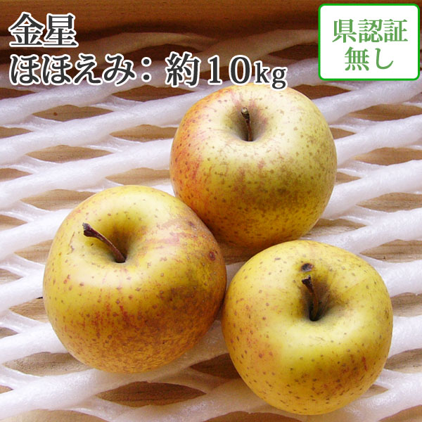 お買得セール【送料無料】青森県産りんご 金星 ほほえみ（訳あり） 約