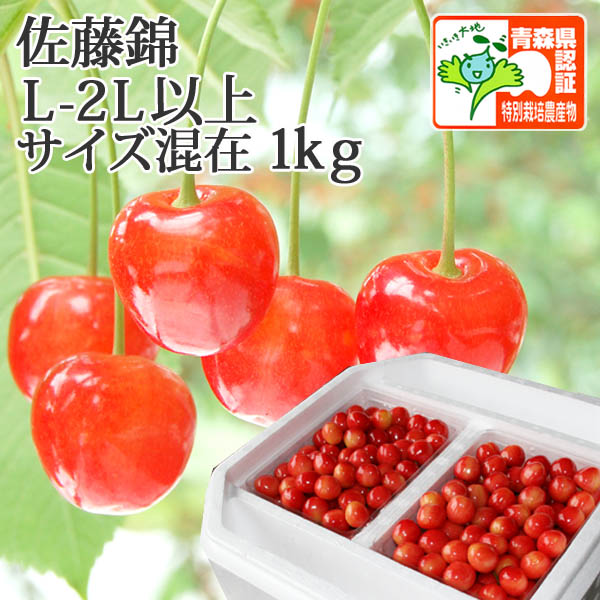 送料無料・青森県産】さくらんぼ（佐藤錦） L-2Lサイズ混在 1kg 認証