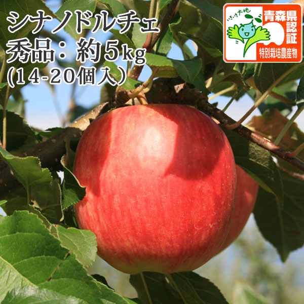 送料無料】青森県産りんご シナノドルチェ 秀品 約5kg（14-20個入