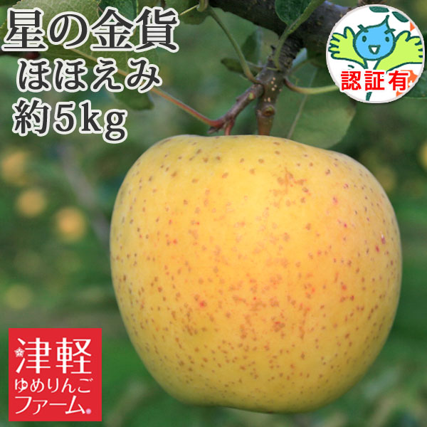 会員様限定！訳あり林檎がお買得♪【送料無料】青森県産りんご 星の