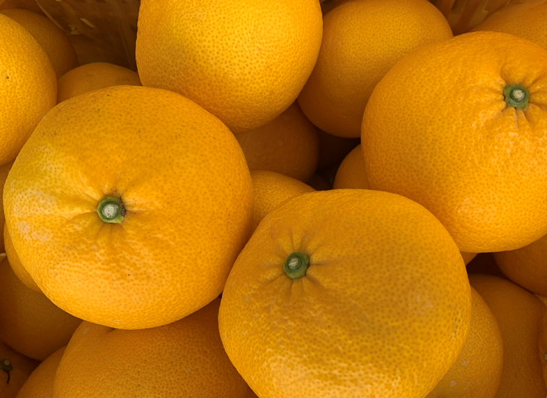 甘夏みかん ワケあり 1箱 15 箱入 道の駅たのうら